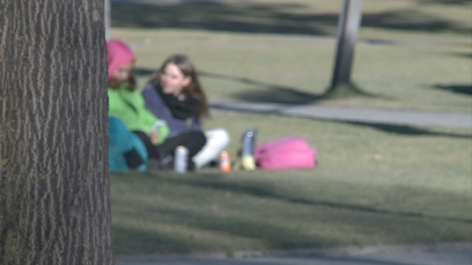 La unió entre família i escola, clau per prevenir i detectar la violència de gènere en l'adolescència