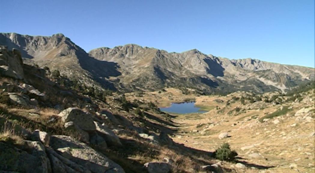 La vall del Madriu-Perafita-Claror estudia posar arnes per a abelles