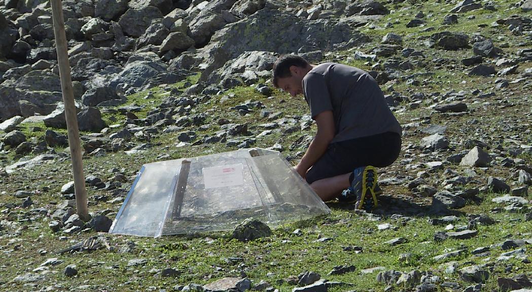 La vegetació de congesta estaria en perill pel canvi climàtic segons un estudi del Cenma 