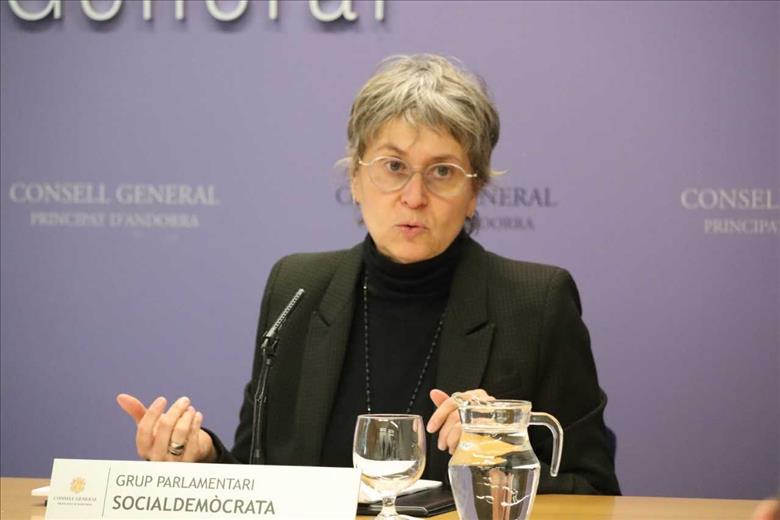 La presidenta suplent del PS, Susanna Vela, ha entrat aquest dill