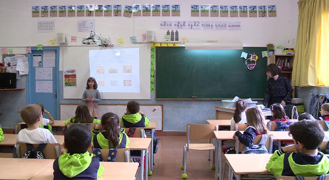 Com és la vida dels infants amb celiaquia a l'escola?