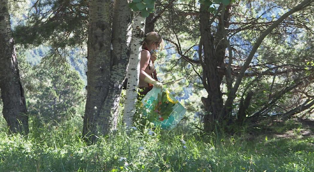 Una vintena de persones participen al 'plogging' popular de la Collada de Beixalís