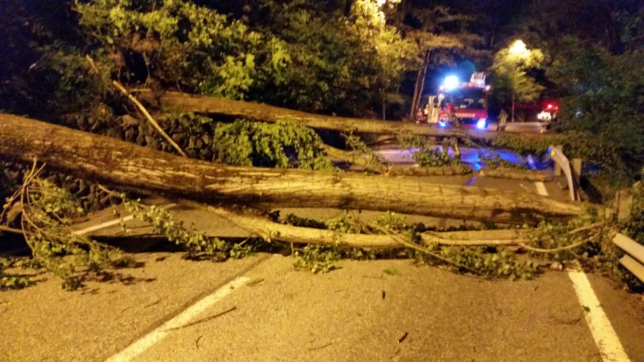 Cauen dos arbres a la carretera d'Engolasters a causa del vent