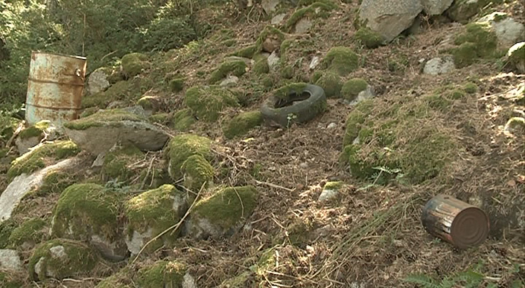 Escaldes vol posar solució a l'acumulació de brossa al bosc de la Plana