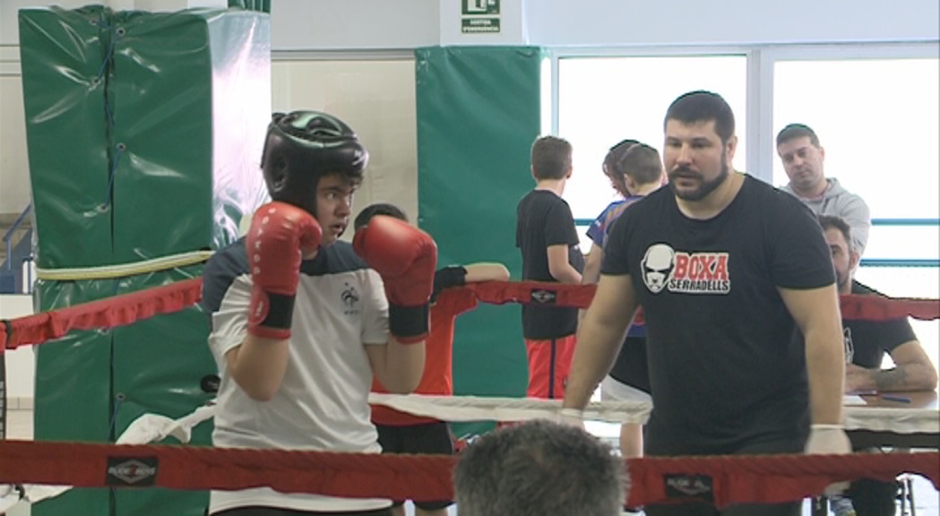 Campionat de boxa educativa destinat als més joves