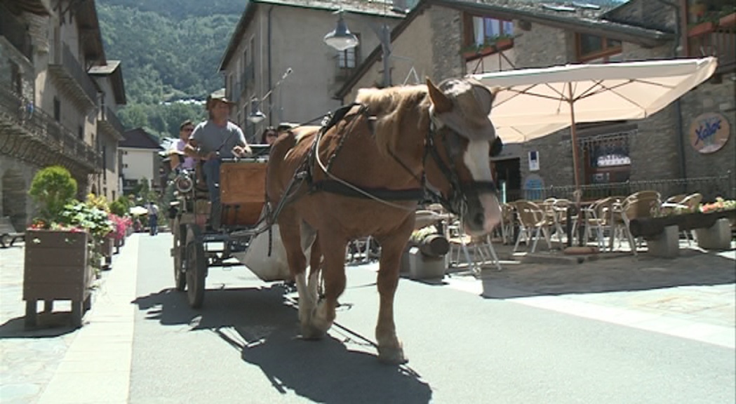 Ordino nega que hi hagi maltractament del cavall en l'activitat de la calessa