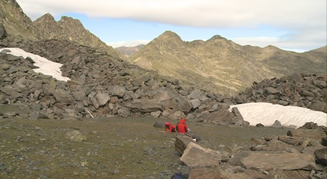 El Cenma analitza l'impacte del canvi climàtic a les congesteres