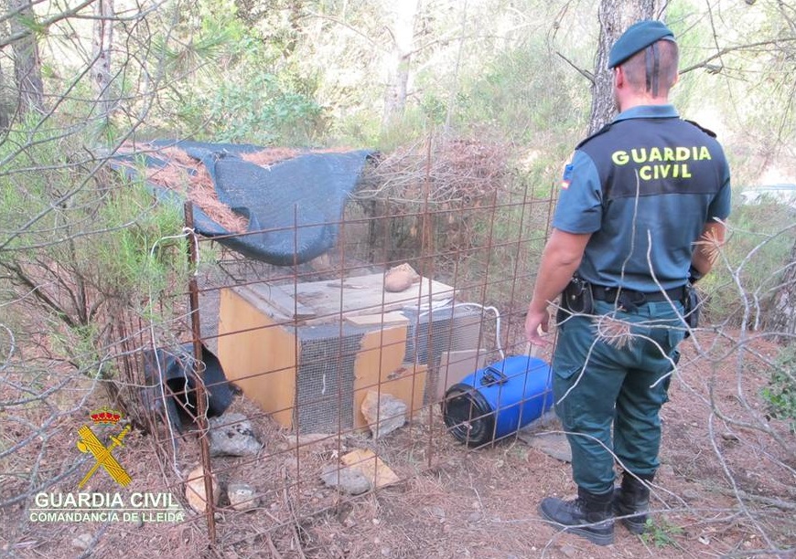 Denuncien un resident per col·locar gàbies trampa com a esquer per a animals salvatges