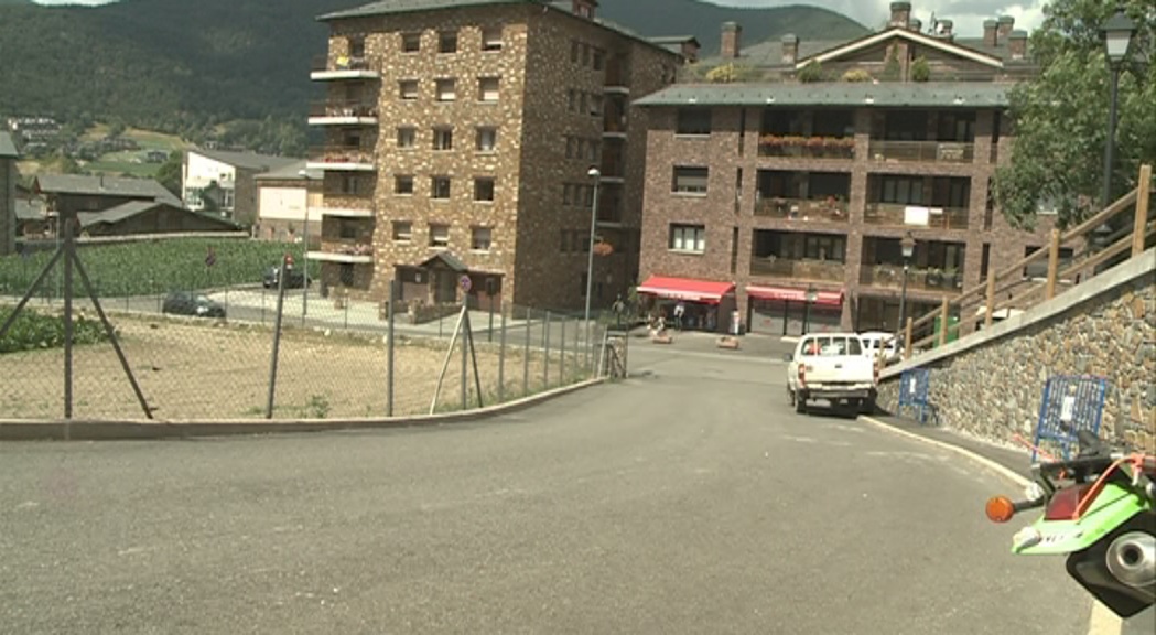 La policia trasllada a la Batllia la mort a trets d'un gat domèstic a l'Aldosa de la Massana