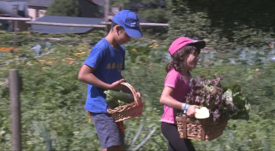 L'Hort de la Ludoescola: Un projecte pioner per entendre l'origen dels aliments