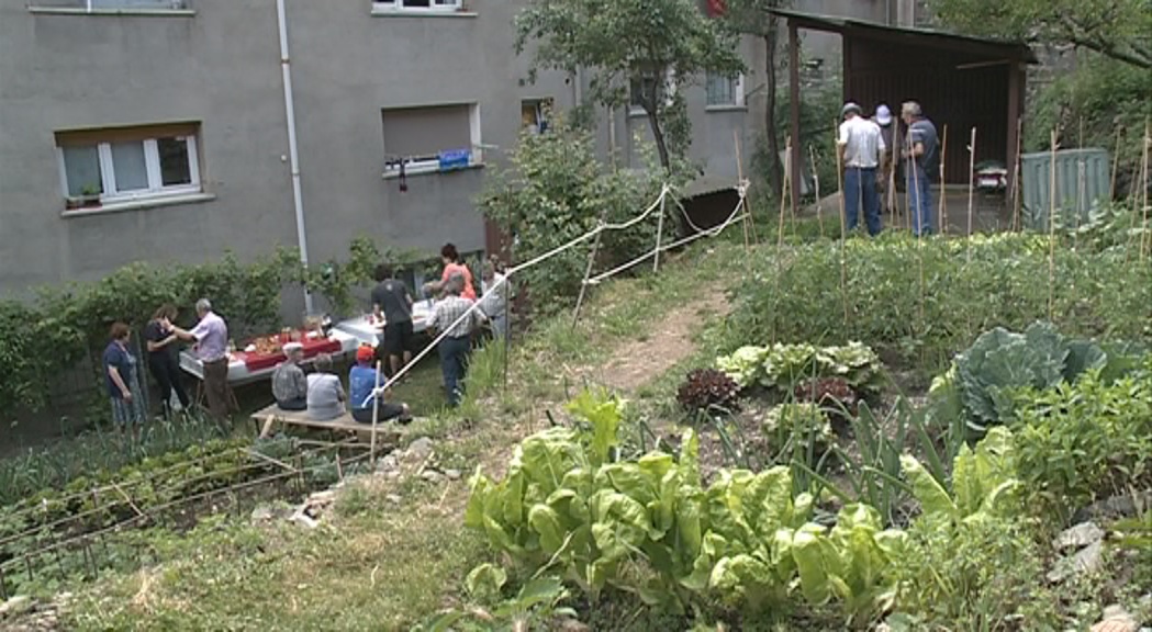 Els hortalans de Sucarana mostren la bona collita d'aquesta temporada