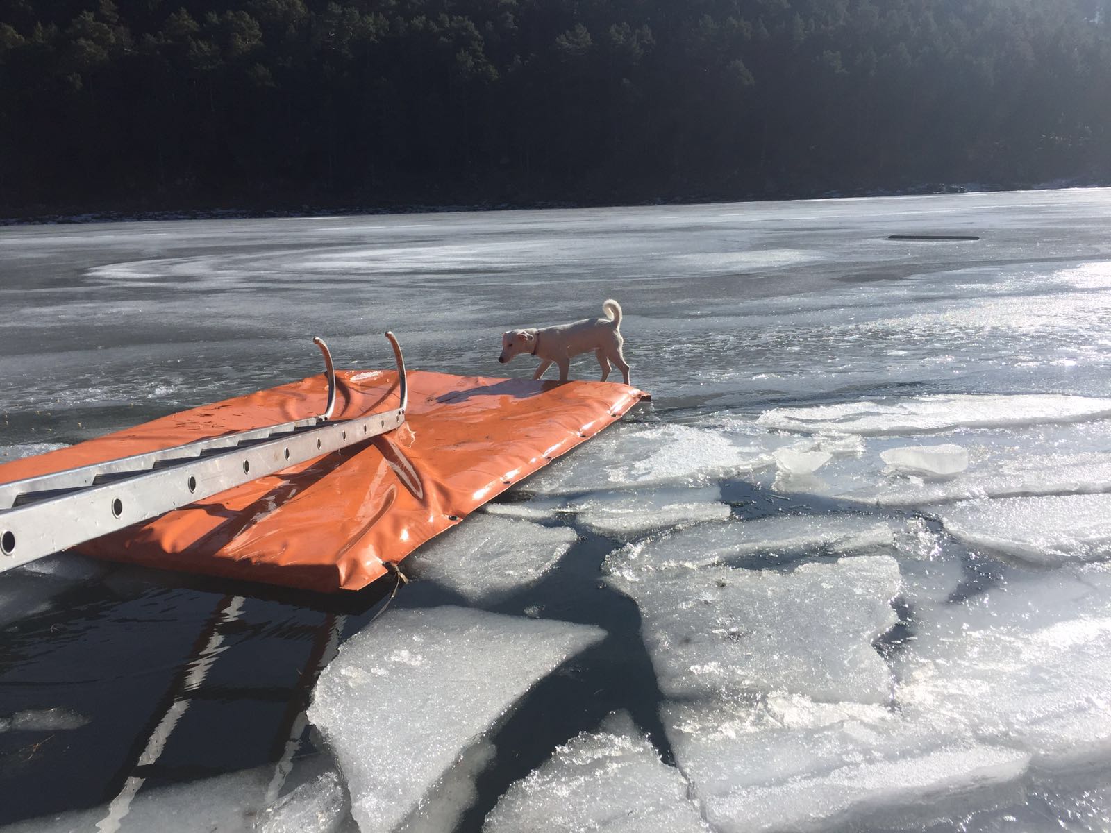 Els bombers han tingut feina aquest migdia al llac d'Engolast