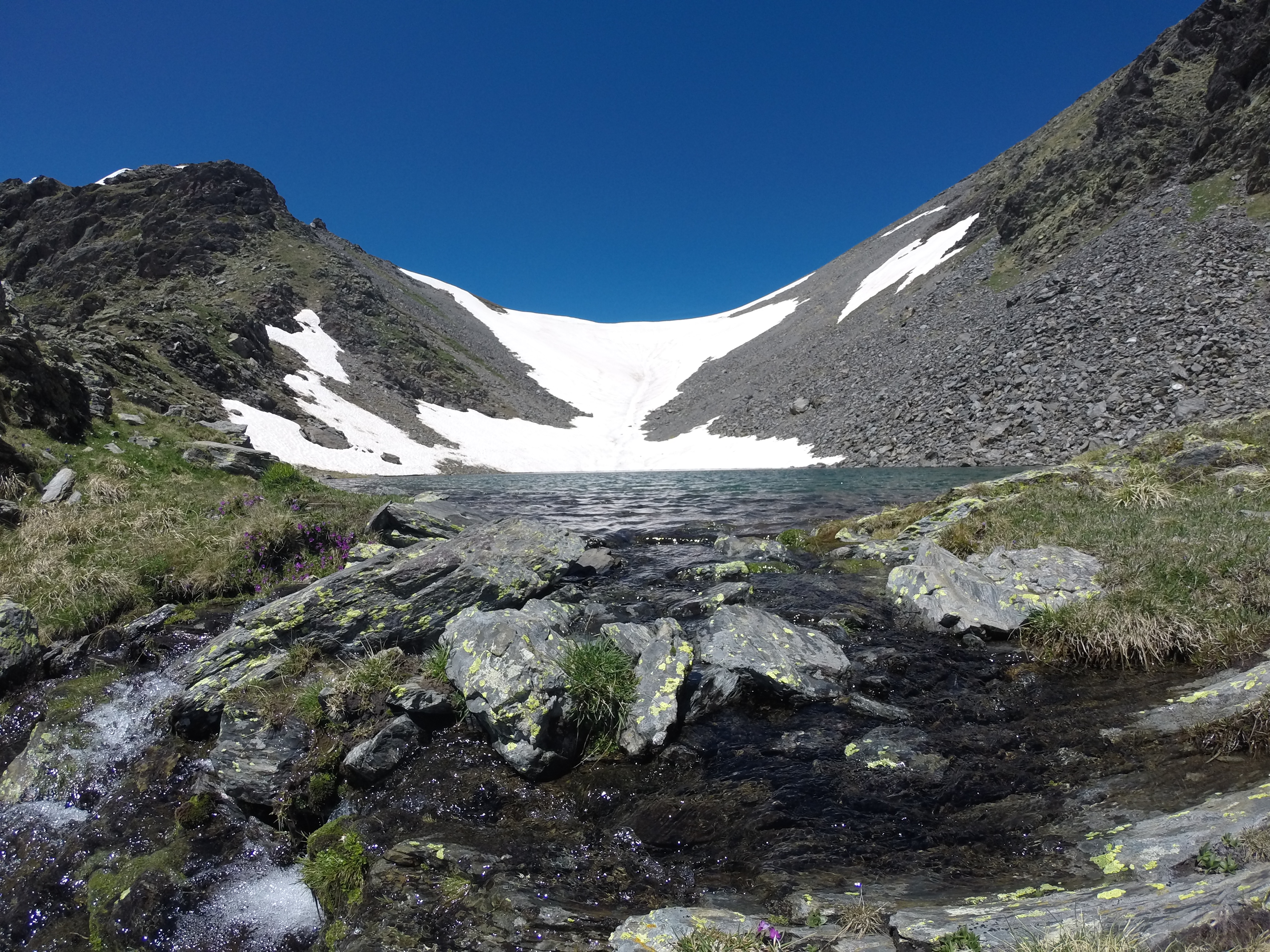 El departament de Medi Ambient del comú de la Massana ha o