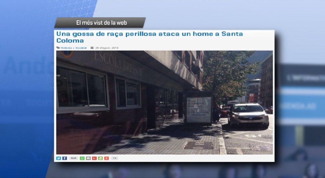 L'atac d'una gossa pitbull a un home a Santa Coloma, el més vist de la setmana al web