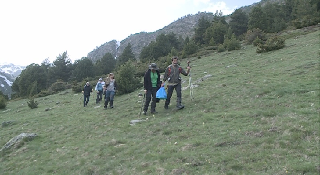 Voluntaris d'arreu del món visiten la vall d'Ordino en un projecte del CREAF i el CENMA