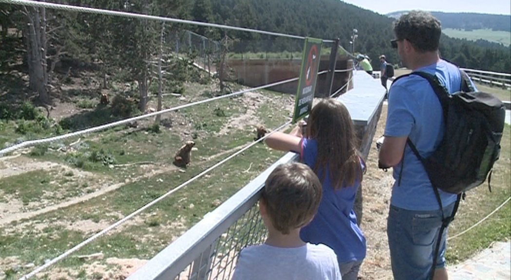 Naturlàndia estudia reconvertir una part del parc d’animals en un centre de recuperació de fauna