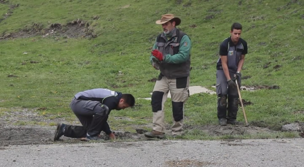 La formació de voluntaris per la natura es reforça i incorpora pràctiques en empreses