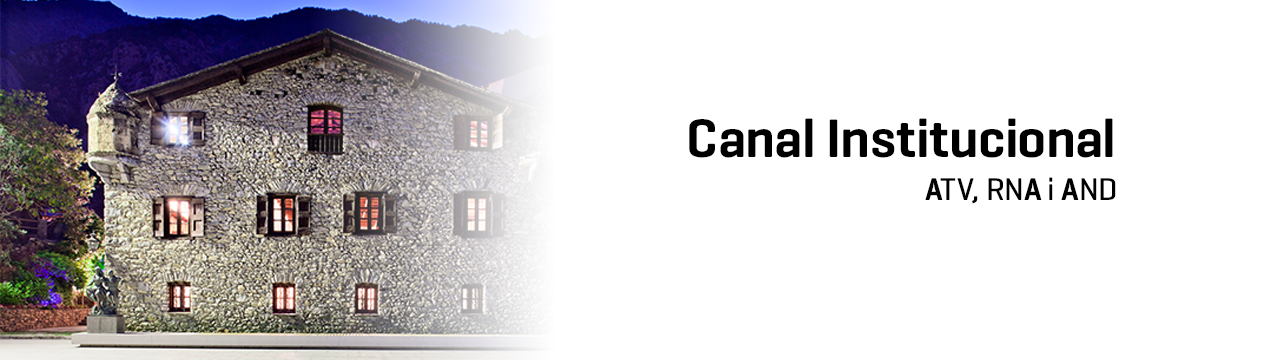 Canal institucional