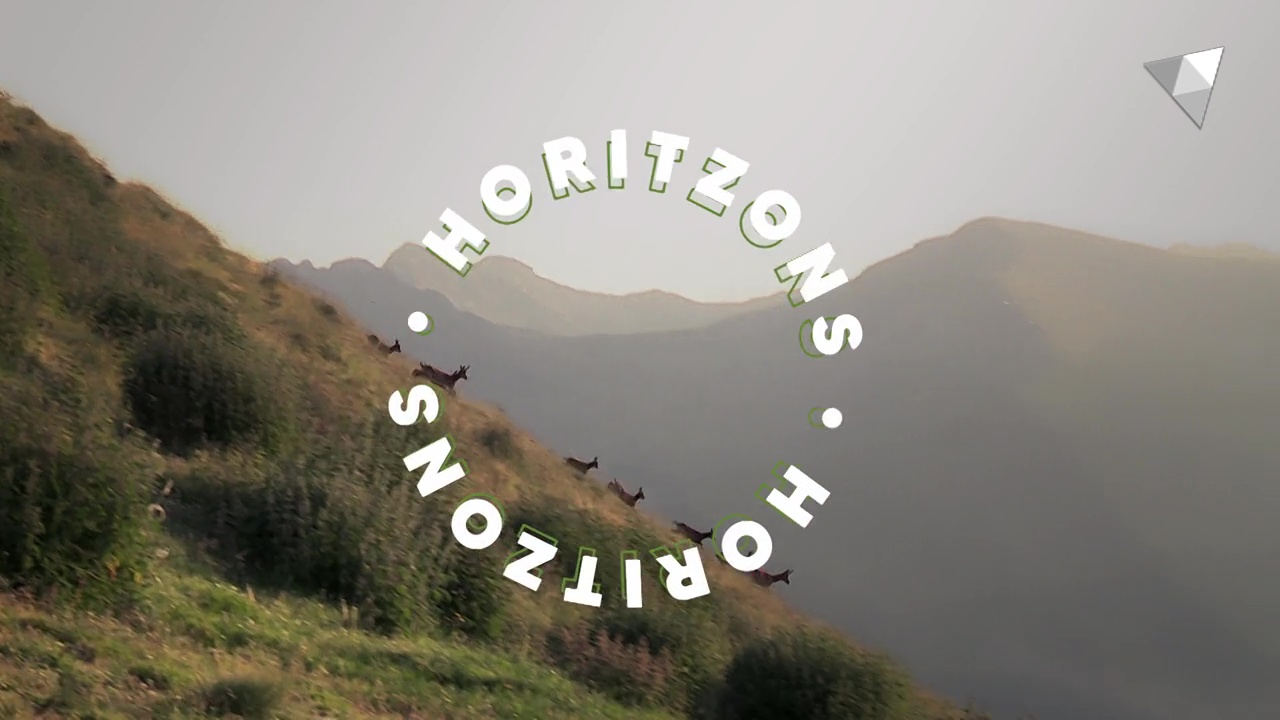 Horitzons - pgm2 - ABELLES